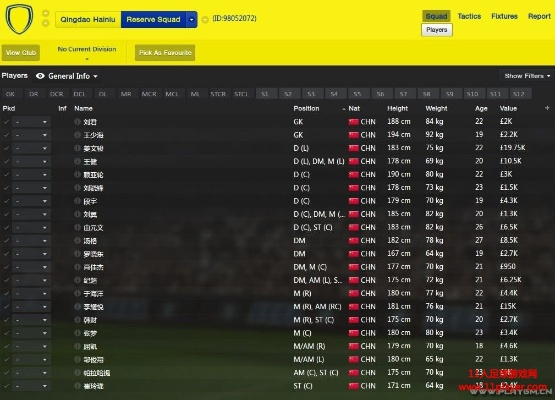 fm2012中超大牌外援 fm2020 中超外援-第3张图片-www.211178.com_果博福布斯