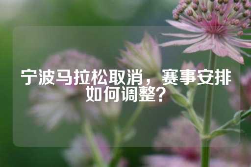 宁波马拉松取消，赛事安排如何调整？-第1张图片-皇冠信用盘出租