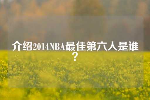 介绍2014NBA最佳第六人是谁？