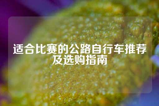 适合比赛的公路自行车推荐及选购指南-第1张图片-皇冠信用盘出租