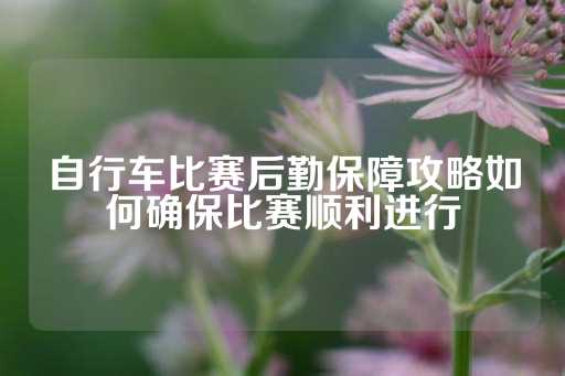 自行车比赛后勤保障攻略如何确保比赛顺利进行