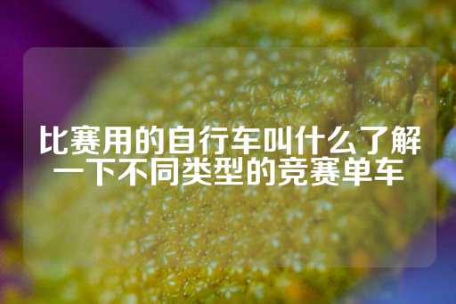 比赛用的自行车叫什么了解一下不同类型的竞赛单车-第1张图片-皇冠信用盘出租