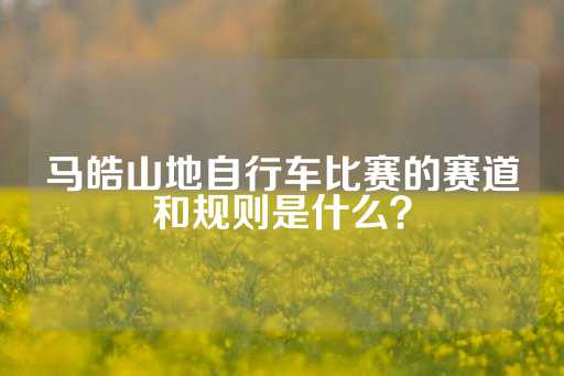 马皓山地自行车比赛的赛道和规则是什么？