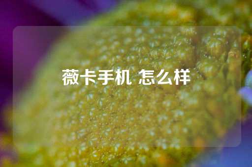 薇卡手机 怎么样