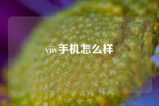 viiv手机怎么样