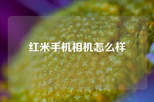 红米手机相机怎么样