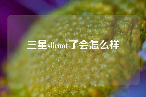 三星s8root了会怎么样