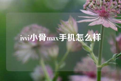 ivvi小骨max手机怎么样