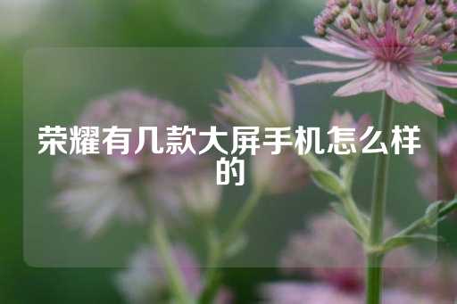 荣耀有几款大屏手机怎么样的-第1张图片-皇冠信用盘出租